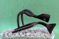 Cherche trèfle à 4 feuilles